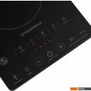 Настольные плиты MAUNFELD EVCE.F291-BK