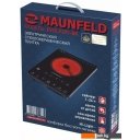 Настольные плиты MAUNFELD EVCE.F291-BK