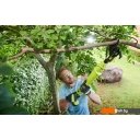 Кусторезы и садовые ножницы RYOBI OLP1832BX (без АКБ)