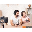 Наушники и гарнитуры SVEN AP-G1000MV
