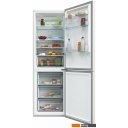 Холодильники Candy CCRN 6180W