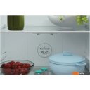 Холодильники Candy CCRN 6200W