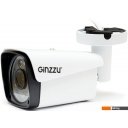 IP-камеры Ginzzu HIB-5303A