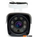 IP-камеры Ginzzu HIB-5303A