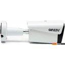IP-камеры Ginzzu HIB-5301A