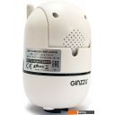IP-камеры Ginzzu HWD-2302A