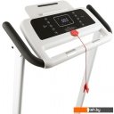 Беговые дорожки Iron Horse Dallas