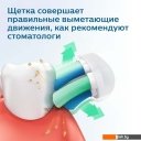 Электрические зубные щетки и ирригаторы Philips Sonicare 3100 series HX3671/14