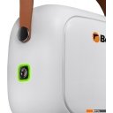 Пароочистители и отпариватели Bort BDR-3000-RR