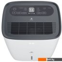 Осушители воздуха Royal Clima Carisma Villa RD-CR30-E