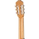 Гитары Kremona R65S