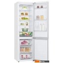 Холодильники LG DoorCooling+ GA-B509LQYL