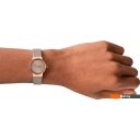Наручные часы Skagen Freja SKW3005