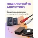 Виниловые проигрыватели Ritmix LP-340B