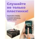 Виниловые проигрыватели Ritmix LP-340B