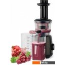 Соковыжималки Scarlett SC-JE50S54