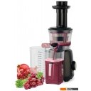Соковыжималки Scarlett SC-JE50S54