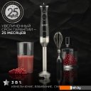 Блендеры Scarlett SC-HB42F73 Блендеры Scarlett SC-HB42F73