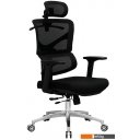 Офисные кресла и стулья Evolution ERGO Fabric (черный)
