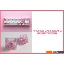 Клавиатуры Akko ACR 98 Mini Prunus Lannesiana (Akko CS Jelly White) Клавиатуры Akko ACR 98 Mini Prunus Lannesiana (Akko CS Jelly White)
