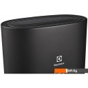 Водонагреватели Electrolux EWH 100 SmartInverter Grafit