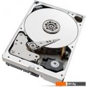 Жесткие диски Seagate SkyHawk AI 10TB ST10000VE000