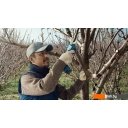 Кусторезы и садовые ножницы Bosch Pro Pruner Professional 06019K1021 (с 2-мя АКБ) Кусторезы и садовые ножницы Bosch Pro Pruner Professional 06019K1021 (с 2-мя АКБ)