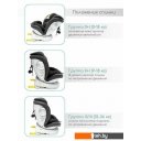 Автокресла Amarobaby Champion Isofix AMARO-2008CH-Ch (черный)