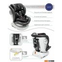 Автокресла Amarobaby Champion Isofix AMARO-2008CH-Ch (черный)