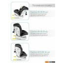Автокресла Amarobaby Champion Isofix AMARO-2008CH-Ch (черный)