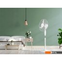 Вентиляторы и охладители воздуха Ballu BFF-806 (белый)