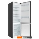 Холодильники Candy CCRN 6200B