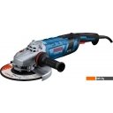 Угловые шлифмашины (болгарки) Bosch GWS 30-230 B Professional 06018G1000