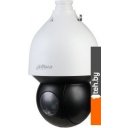 IP-камеры Dahua DH-SD5A245GB-HNR