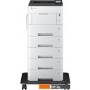 Принтеры и МФУ Triumph-Adler P-6033DN