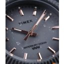 Наручные часы Timex Waterbury Ocean TW2V33000