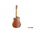 Гитары Randon RGI-10VT-CE