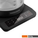 Электрочайники и термопоты Redmond RK-G1310D