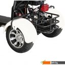 Электросамокаты и электроскутеры Yakama AP-H0003G (черный)