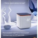Беспроводные и портативные колонки Яндекс Станция Миди (серый)