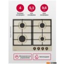 Варочные панели Hansa BHGY630390