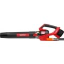 Воздуходувки Wortex BB 2536 D ALL1 1333405 (с 2-мя АКБ)