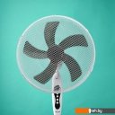 Вентиляторы и охладители воздуха Timberk T-SF1601