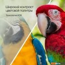 Телевизоры Topdevice Ultra Neo TDTV65CS06U_BK