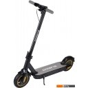Электросамокаты и электроскутеры Polaris PES1010
