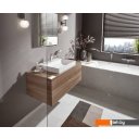 Смесители Hansgrohe Vivenis 75420000