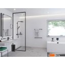 Мусорки, урны, контейнеры для мусора Hansgrohe AddStoris 41775670