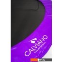 Батуты Calviano Inside Master Purple 312 см - 10ft (внутренняя сетка, с лестницей)