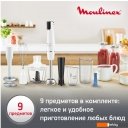 Блендеры Moulinex Infiny Force DD94J110