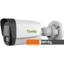 IP-камеры Tiandy TC-C32WP I5W/E/Y/4mm/V4.2